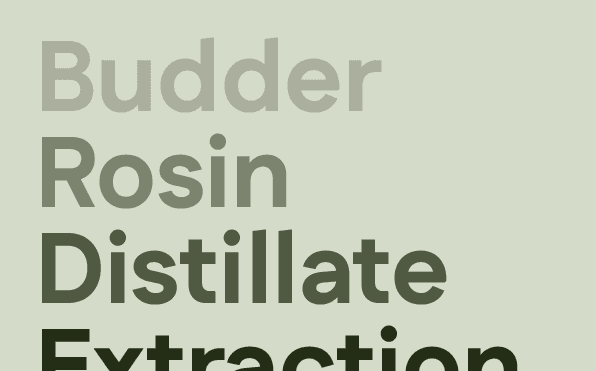 Cannabis terminology and definitions